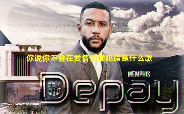 你说你不会在爱情里面犯错是什么歌